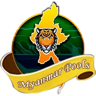 boyasolid8.com
